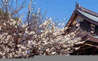 2月8日(2月8日天气预报)